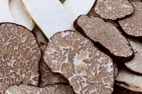 松露一年四季都有嗎，中國松露為什么沒有國外松露名聲大