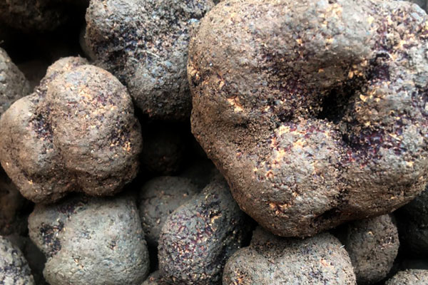 松露的味道從何而來(lái) 松露的味道從何而來(lái)