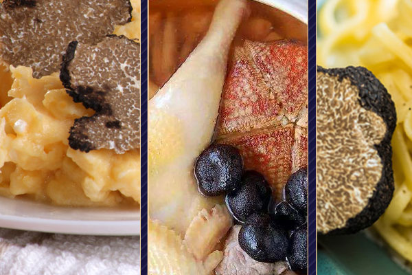 松露干怎么吃才好吃 松露干怎么吃才好吃