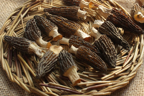 羊肚菌煮多長(zhǎng)時(shí)間才熟