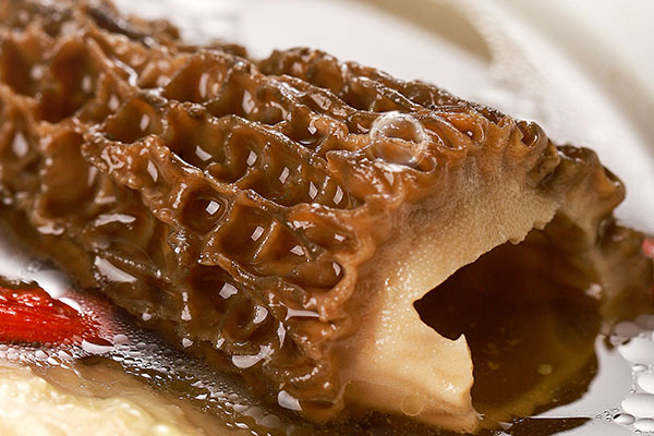 羊肚菌煲老鴨湯怎么做好吃 羊肚菌煲老鴨湯怎么做好吃