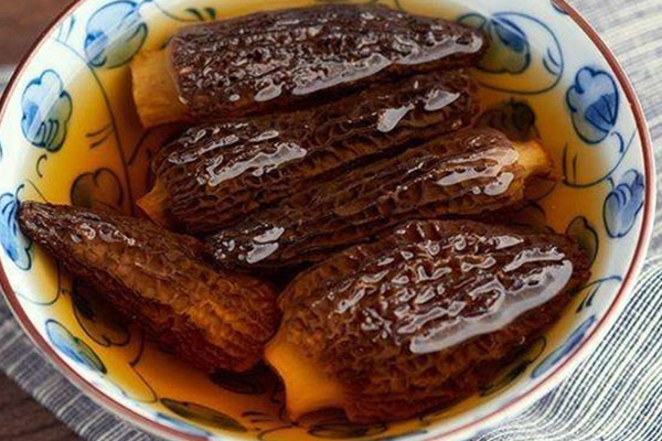 羊肚菌一年種幾次，種植羊肚菌需要什么條件