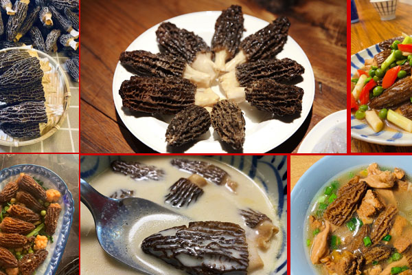 羊肚菌可以提高壯陽(yáng)嗎 羊肚菌可以提高壯陽(yáng)嗎