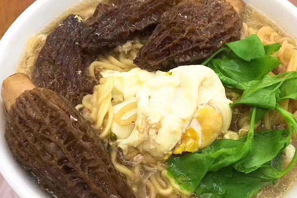 羊肚菌能改善食欲嗎