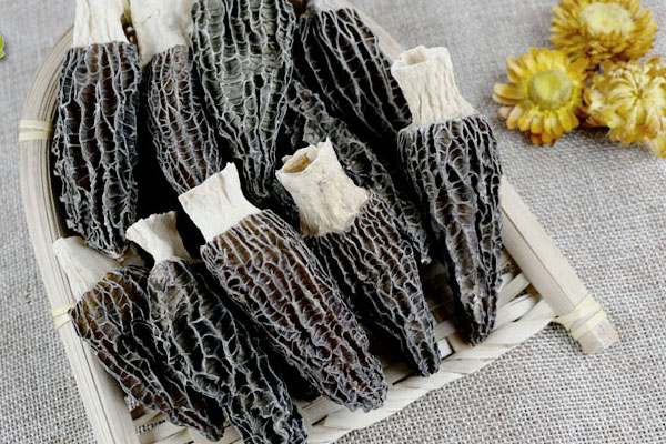 羊肚菌洗了曬干后還可以吃嗎