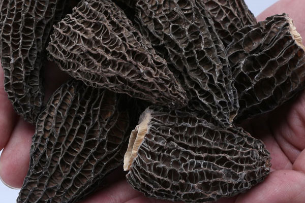 羊肚菌烘干與曬干區(qū)別，羊肚菌洗了曬干了還能吃嗎