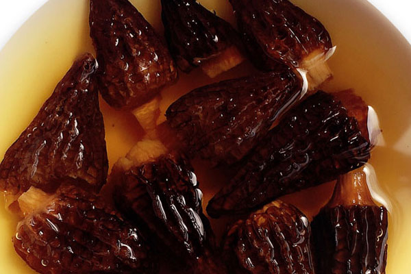 干羊肚菌怎么泡發(fā)，羊肚菌加什么食材煲湯好