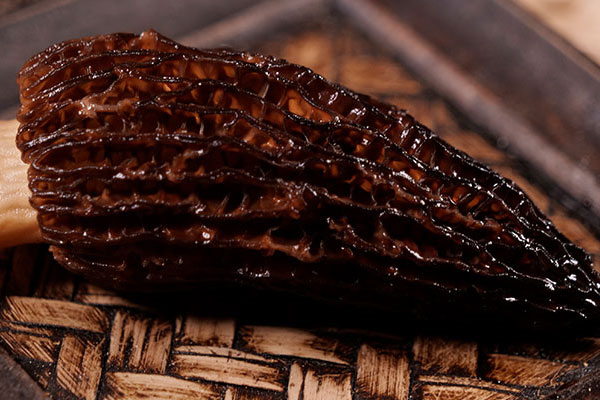 羊肚菌加哪些食材煲湯好 羊肚菌加哪些食材煲湯好