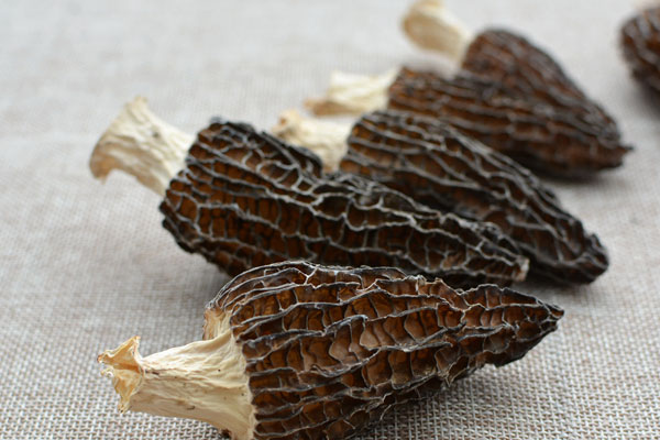 干羊肚菌聞起來有異味是壞了嗎 干羊肚菌聞起來有異味是壞了嗎