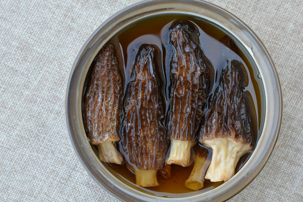 如何用羊肚菌煮粥給寶寶吃，羊肚菌好吃嗎會有怪味嗎