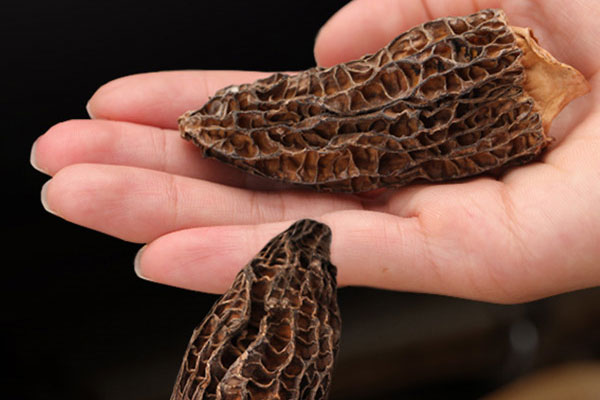 干羊肚菌泡發(fā)過一夜還能吃嗎，羊肚菌泡發(fā)后能放多久