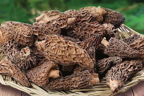 羊肚菌含有哪些可以抑制腫瘤的成份 羊肚菌含有哪些可以抑制腫瘤的成份