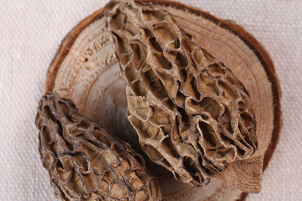 小孩能吃羊肚菌嗎