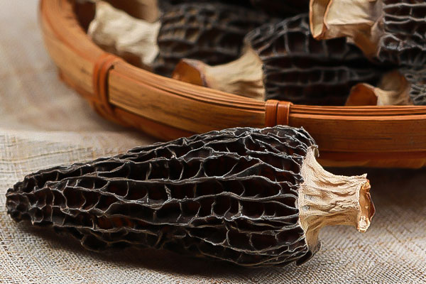 烘干的羊肚菌還有營養(yǎng)嗎 烘干的羊肚菌還有營養(yǎng)嗎