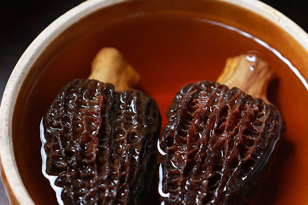 羊肚菌哪里產(chǎn)的最好最貴，買羊肚菌在什么地方買