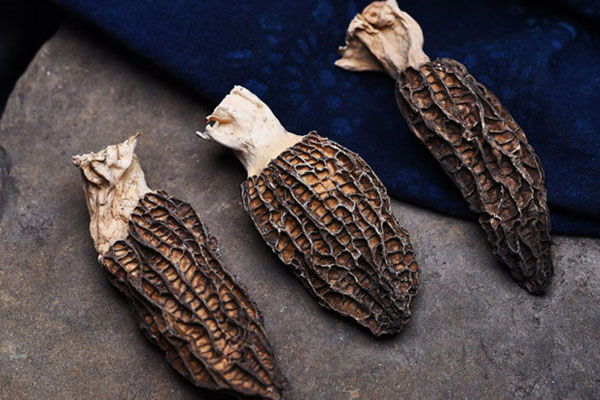 干羊肚菌怎么挑選最好