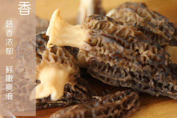 新鮮羊肚菌能冷凍嗎 新鮮羊肚菌能冷凍嗎