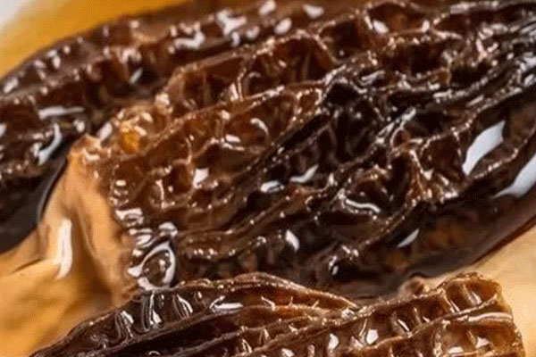 羊肚菌在冰箱里儲(chǔ)藏時(shí)間多久為好 羊肚菌在冰箱里儲(chǔ)藏時(shí)間多久為好