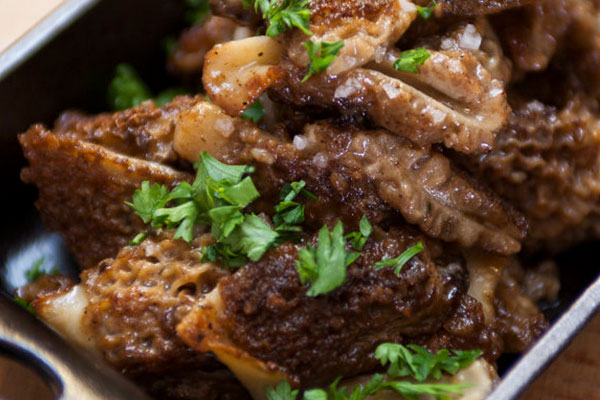 為什么一吃羊肚菌就胃痛