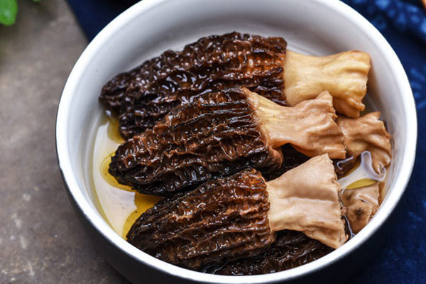 新鮮羊肚菌放冰箱能保存多久，羊肚菌會導(dǎo)致消化不良嗎