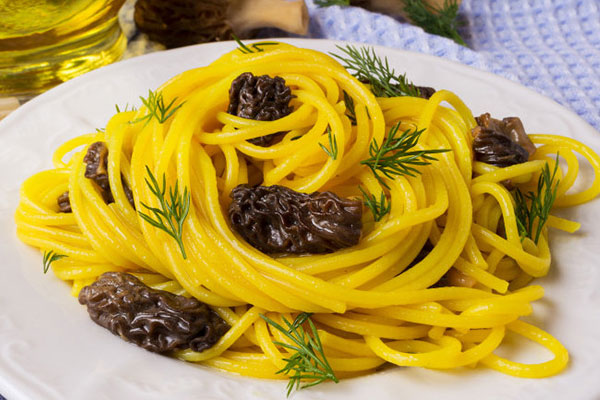 羊肚菌可以放冰箱冷凍嗎，牙口不好的人可以吃羊肚菌嗎