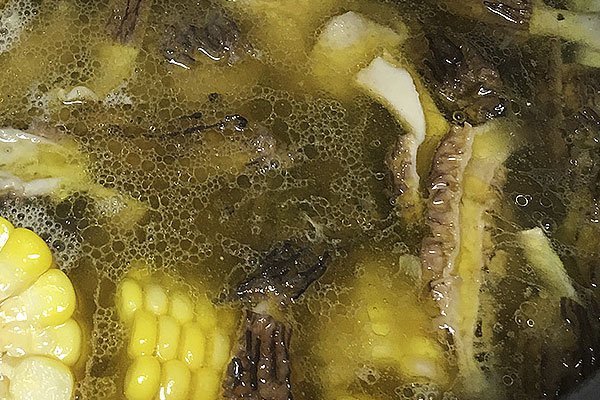 牙口不好的人能吃羊肚菌嗎