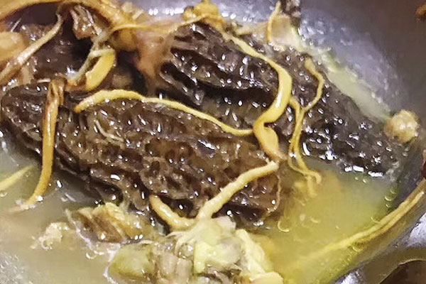 羊肚菌可以預(yù)防齲齒嗎