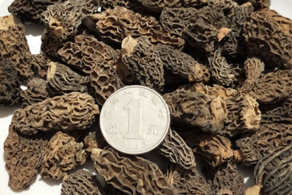 潰瘍性結(jié)腸炎人群吃羊肚菌的好處