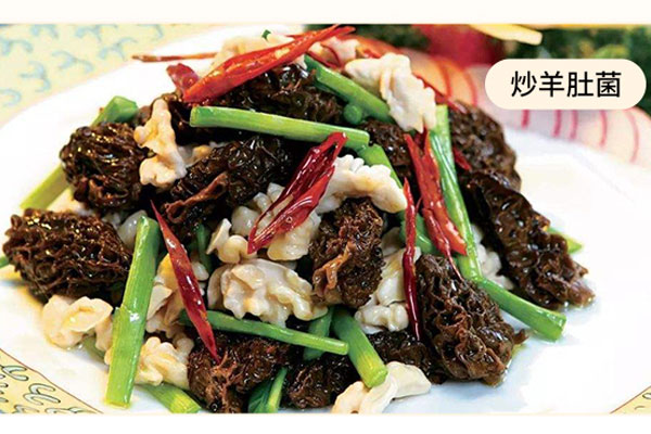 羊肚菌和什么炒比較好吃，羊肚菌能抗炎抗菌嗎