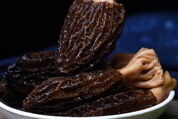 云南哪里可以買羊肚菌，云南羊肚菌產(chǎn)地在哪里