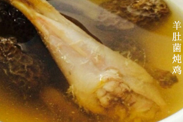 做羊肚菌雞湯有哪些竅門
