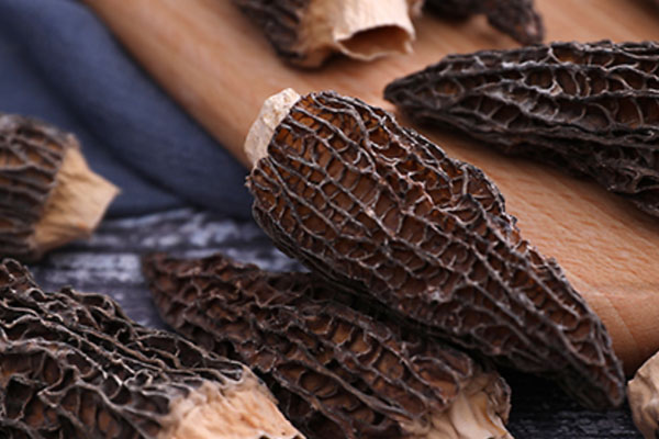 羊肚菌可以補(bǔ)血嗎