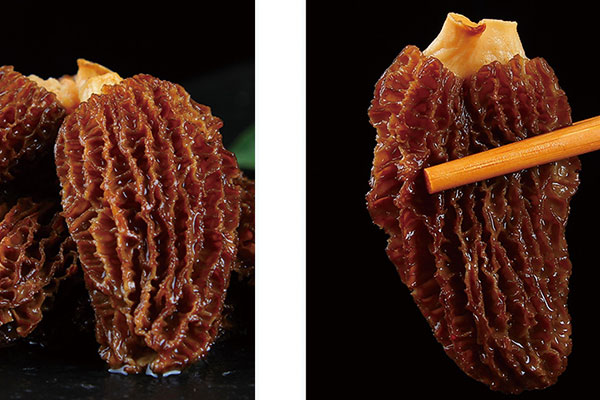 哪個(gè)牌子的羊肚菌比較好，干羊肚菌怎么看好壞