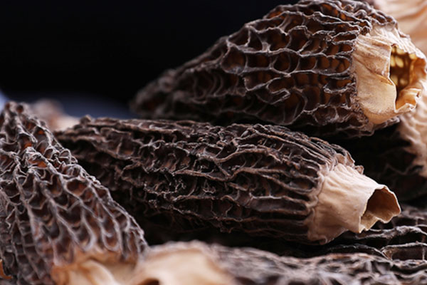 干羊肚菌如何看好壞 干羊肚菌如何看好壞