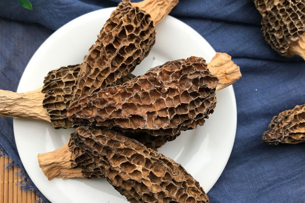 羊肚菌含有多少蛋白質(zhì) 羊肚菌含有多少蛋白質(zhì)