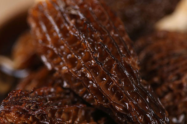 烹飪羊肚菌的小技巧 烹飪羊肚菌的小技巧