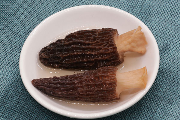 羊肚菌的腳柄怎么清洗才干凈，體弱多病的人可以吃羊肚菌嗎