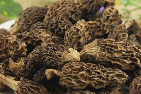 市面上銷售的羊肚菌多少錢一斤 市面上銷售的羊肚菌多少錢一斤