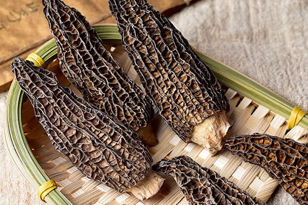 養(yǎng)殖的羊肚菌還有營(yíng)養(yǎng)嗎 養(yǎng)殖的羊肚菌還有營(yíng)養(yǎng)嗎