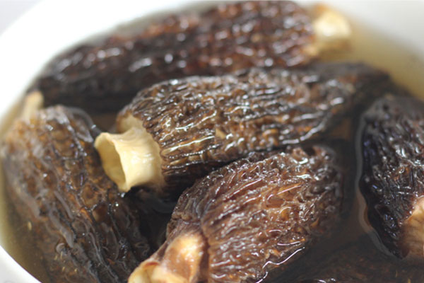 羊肚菌湯用冷水還是熱水好，羊肚菌性涼嗎