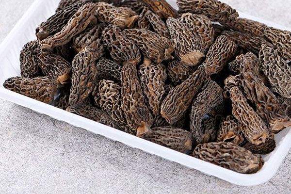 為什么羊肚菌有那么多種