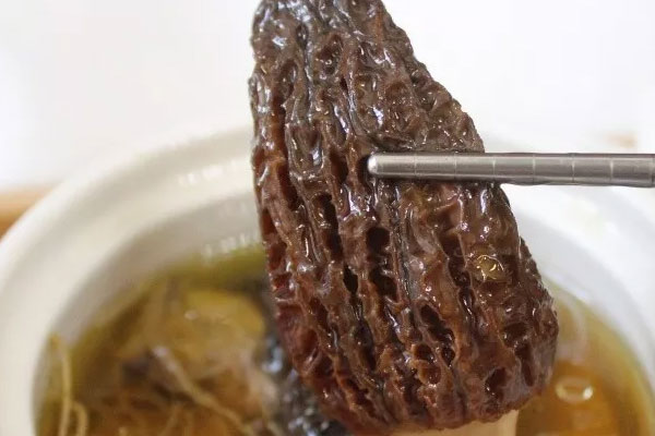 圓頂?shù)难蚨蔷脝? src=