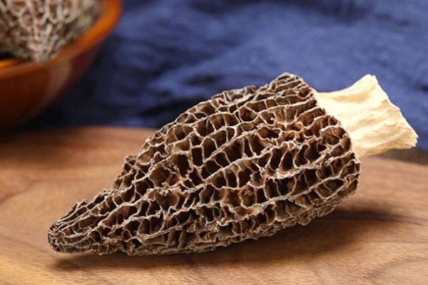 尖頂?shù)难蚨蔷褪呛玫膯?，羊肚菌能跟牛肉一起吃? title=