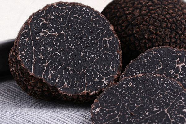 松露為什么叫豬拱菌，松露多少年可以長(zhǎng)出來(lái)