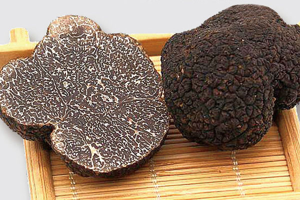 松露要長多少年才有