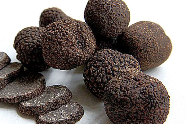 大興安嶺有沒有松露 大興安嶺有沒有松露