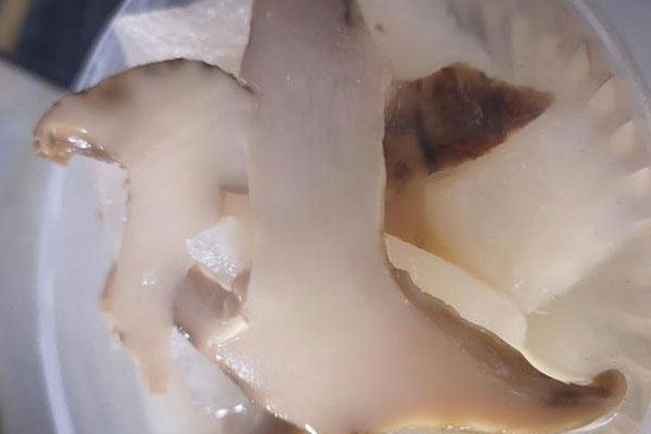 松茸熬湯怎么熬，電飯鍋煮松茸湯好嗎