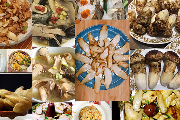 煮好的松茸可以隔夜吃嗎