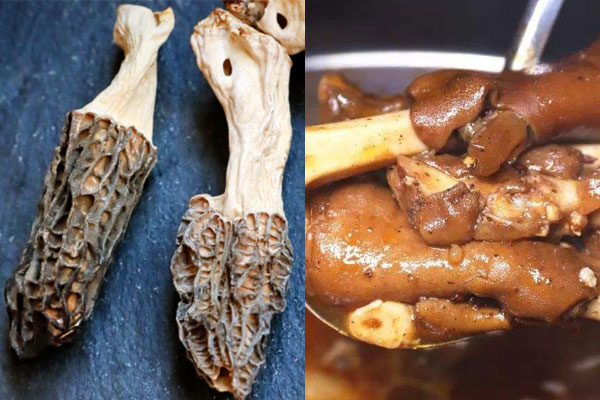 羊肚菌燉羊腳的做法以及竅門
