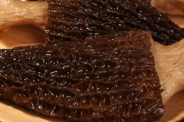 紅燒羊肚菌的做法竅門 紅燒羊肚菌的做法竅門